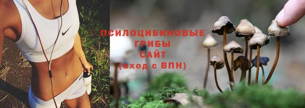 не бодяженный Инсар