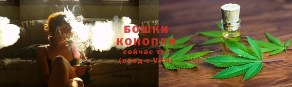 шишки Каменка