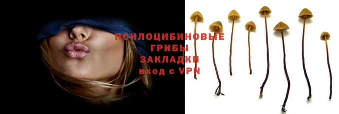 ECSTASY Инта