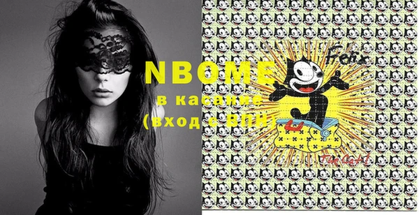 шишки Каменка