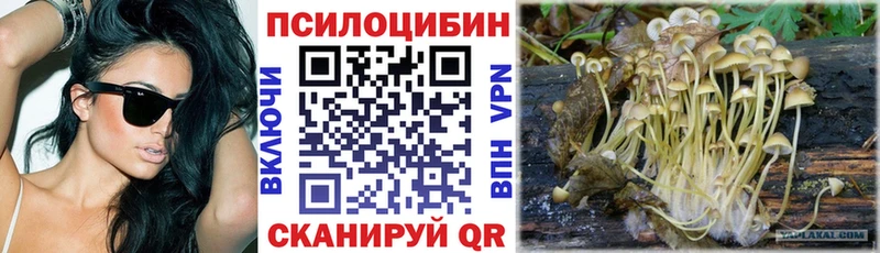 Псилоцибиновые грибы Cubensis  Купить  Нижний Ломов 
