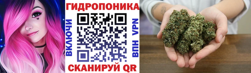 Бошки Шишки план  Купить  Нижний Ломов 